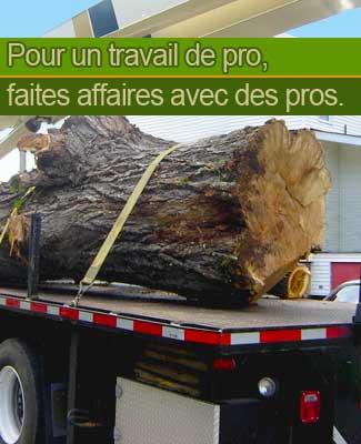 Entretien d'arbres Germain Baril